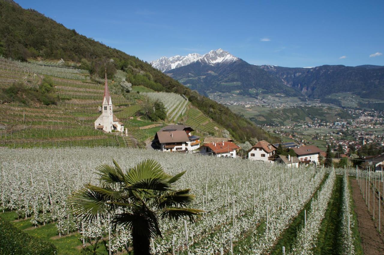 Oberangerhof Aparthotel Lagundo Rom bilde
